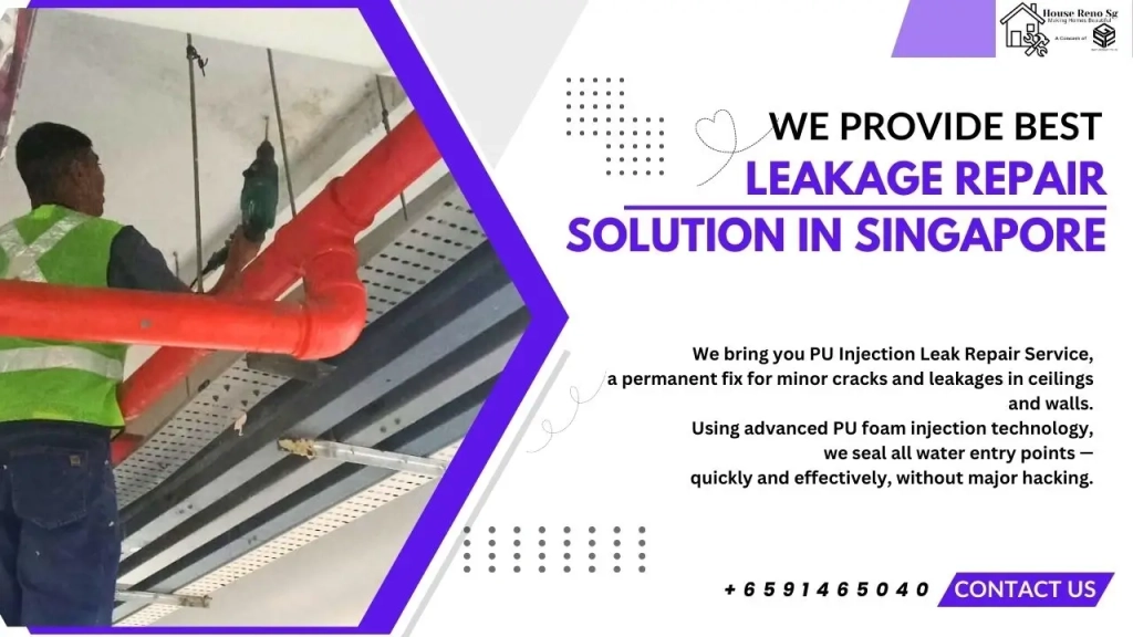 Water Leakage Repair