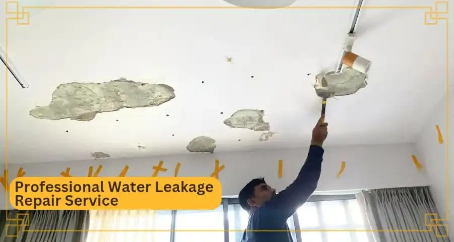 Water Leakage Repair Services in Singapore