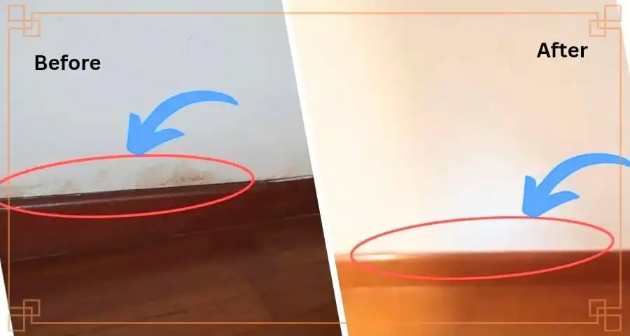 Why Choose Our Water Leakage Repair Services